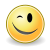 shared:icons:face-wink-50x50.png